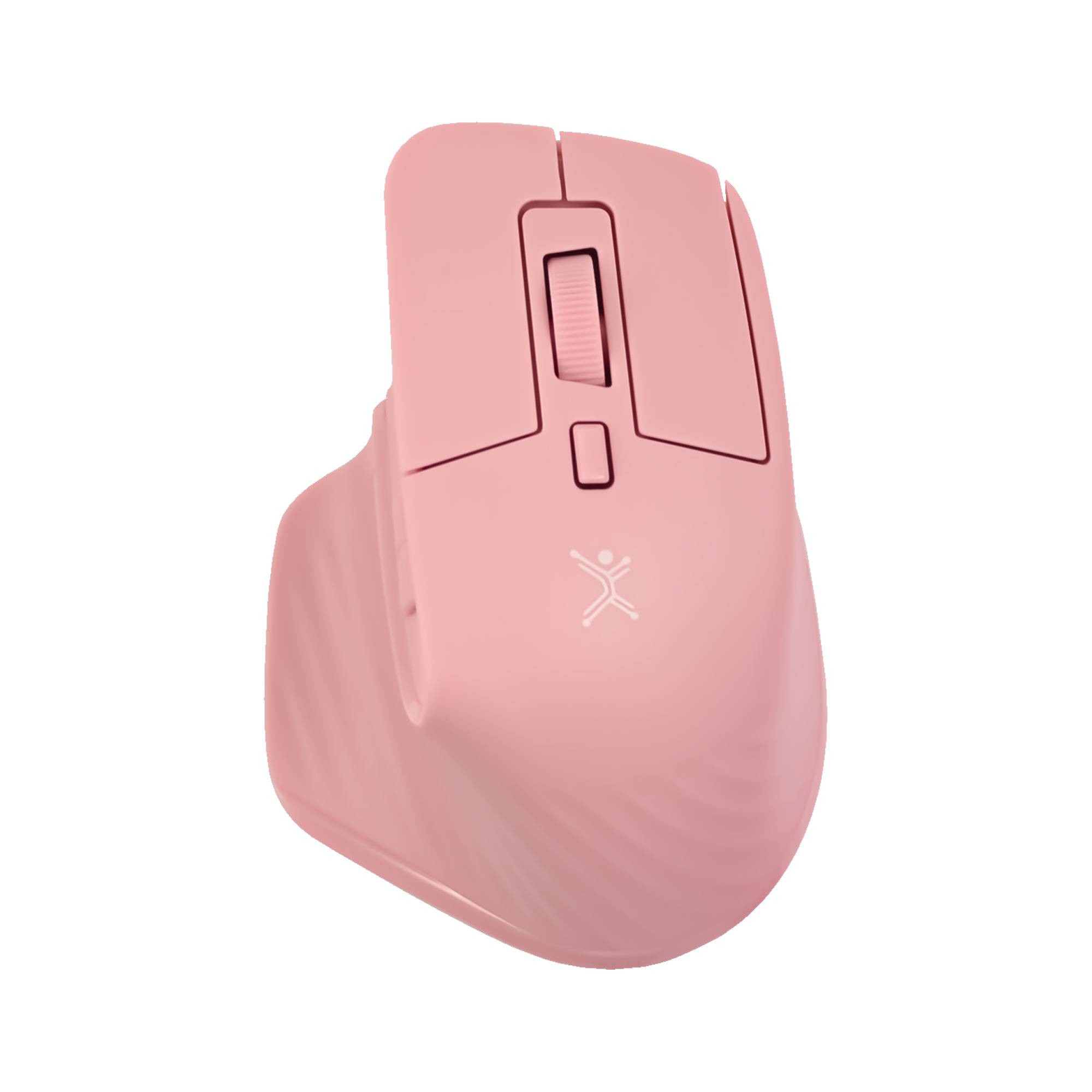 Perfect Choice mouse