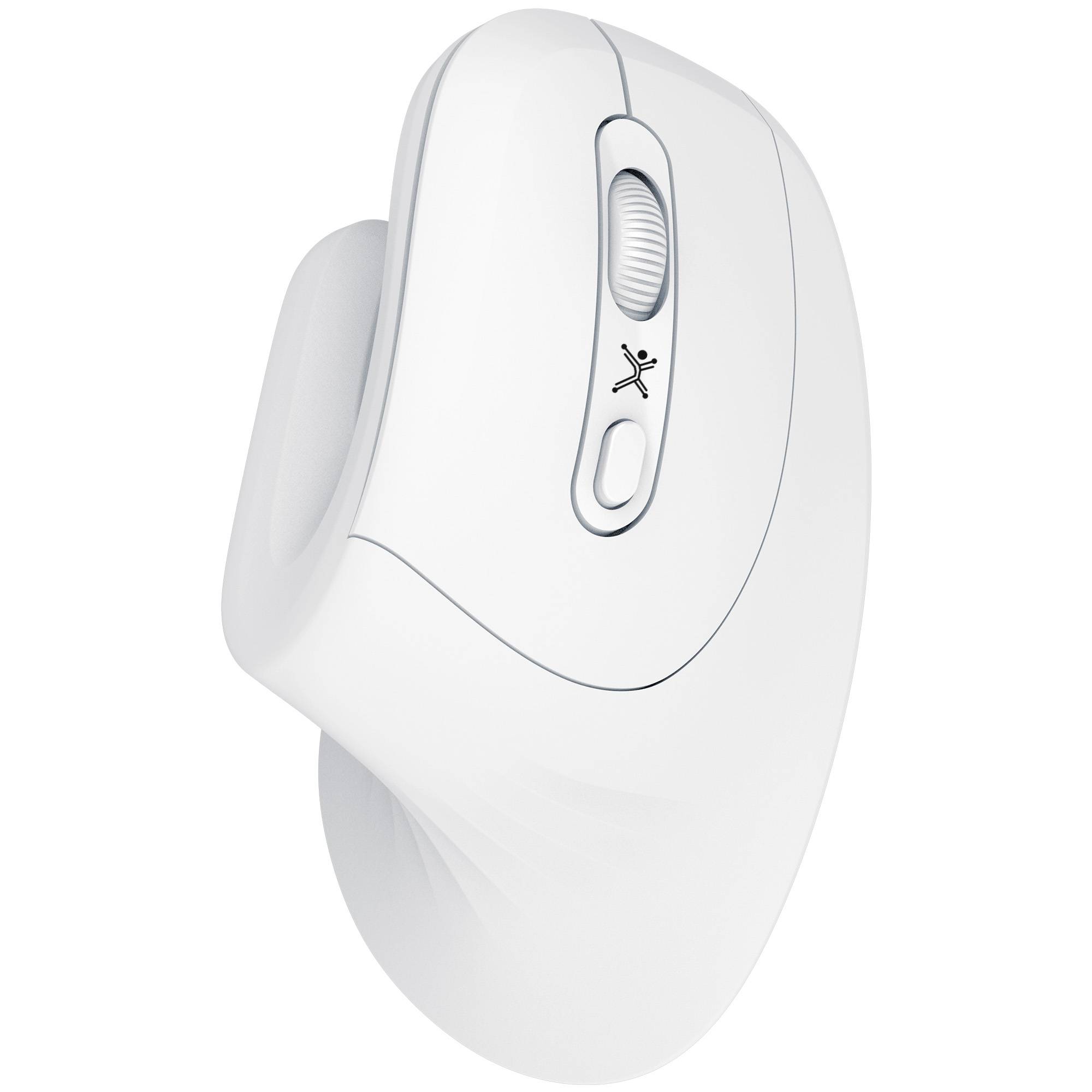 Perfect Choice mouse