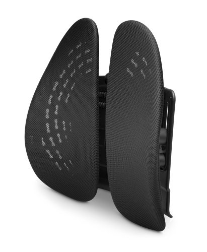 Kensington respaldo lumbar