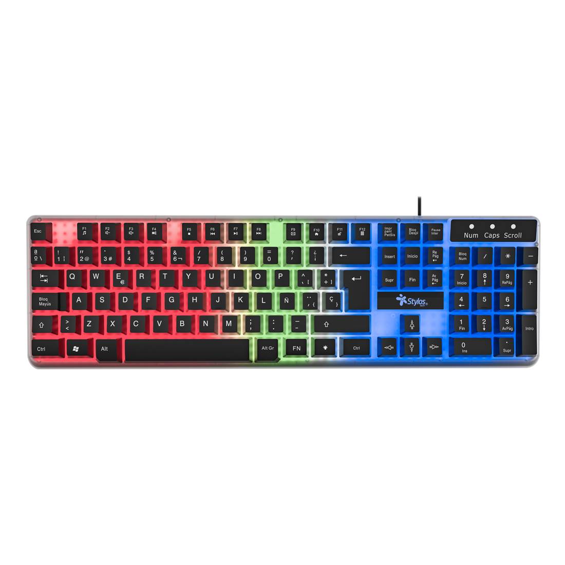 Stylos teclado