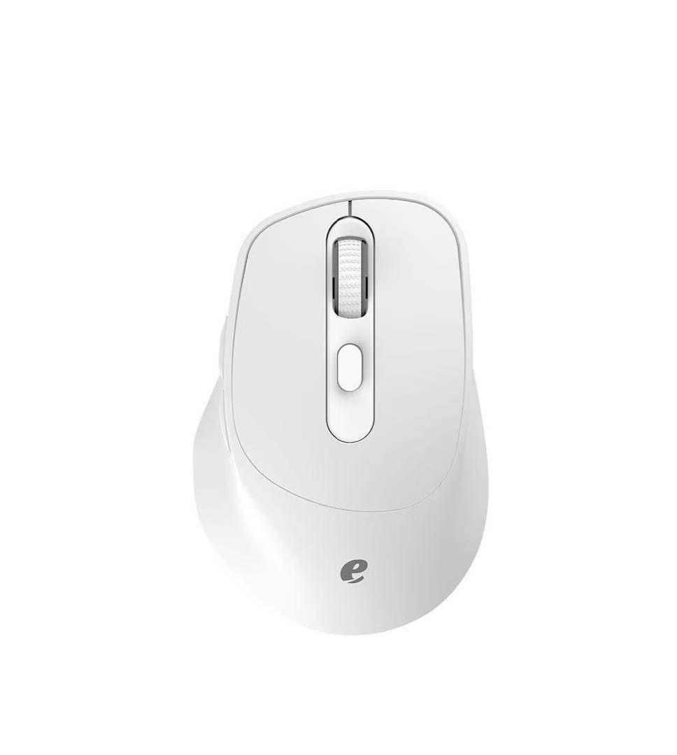 ACER mouse